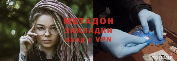 прущие грибы Елизово