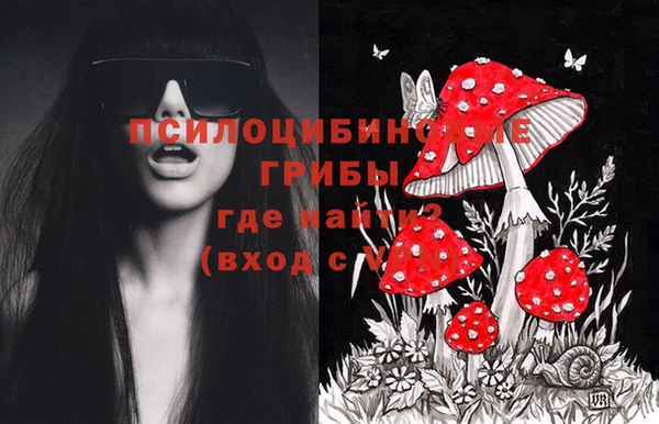 прущий лед Ельня