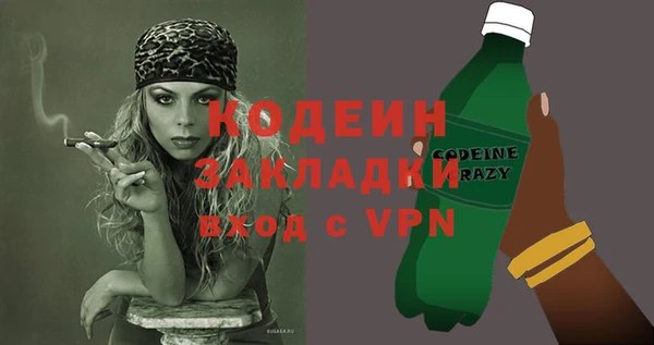 прущие грибы Елизово