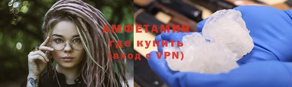 прущие грибы Елизово