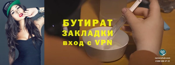 индика Заводоуковск