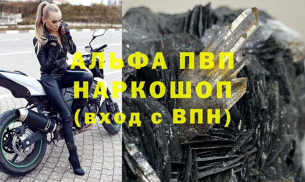 прущие грибы Елизово
