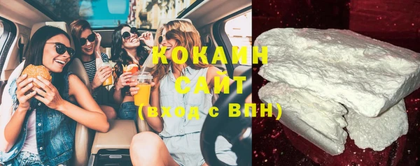прущие грибы Елизово
