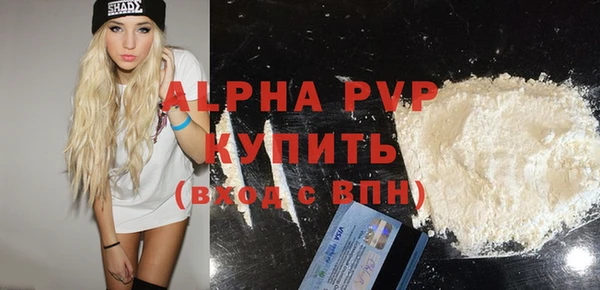 прущие грибы Елизово