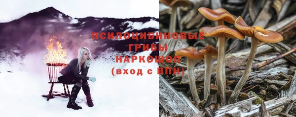 прущий лед Ельня