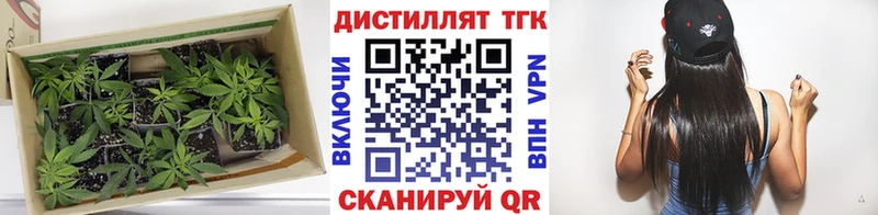 Купить  Тосно  ТГК вейп 