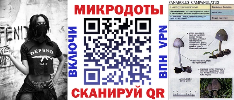 Купить где  Тосно  Псилоцибиновые грибы прущие грибы 